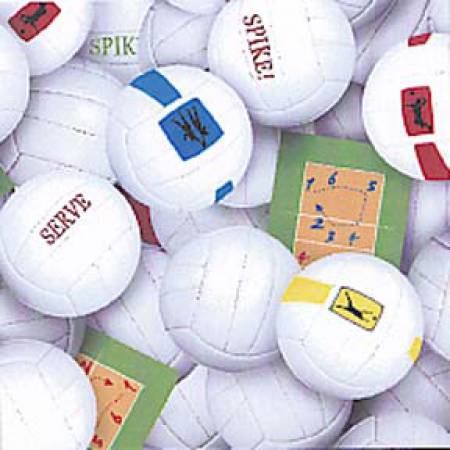 White Volleyballs
