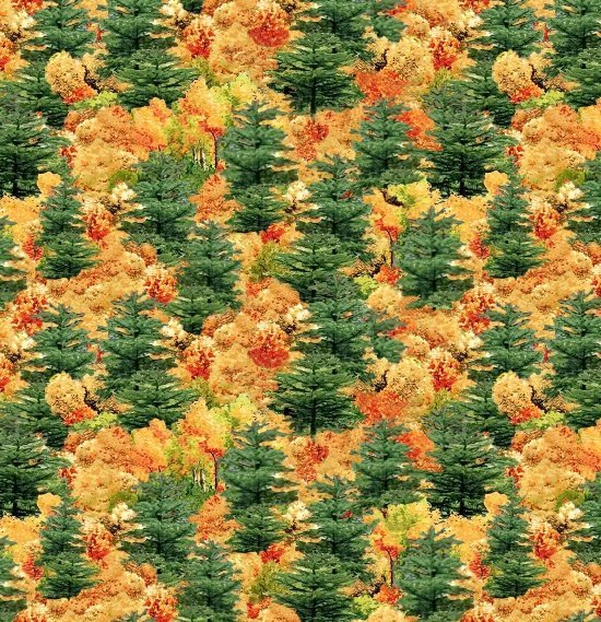 Covered Bridges - Scenic Trees Fall