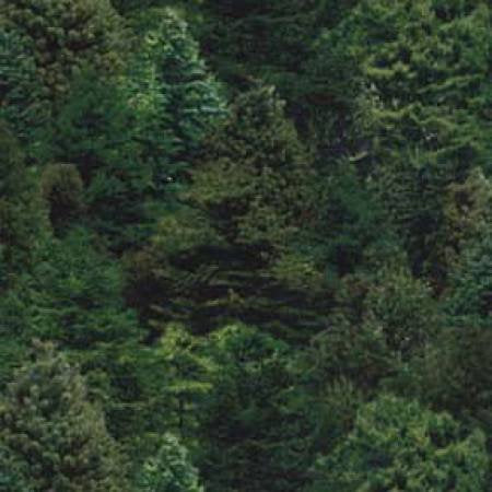 green trees (Fir)