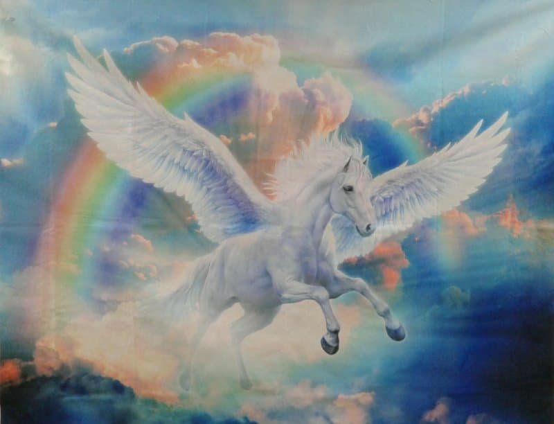 Bin #5 Pegasus Rainbow Unicorn