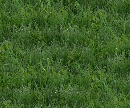 Landscape Medley 250Green