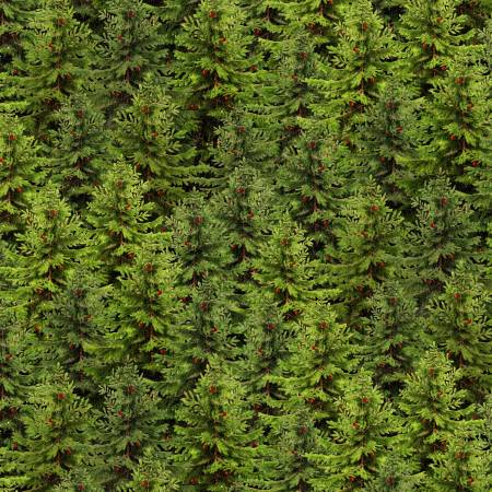 Green Packed Trees
