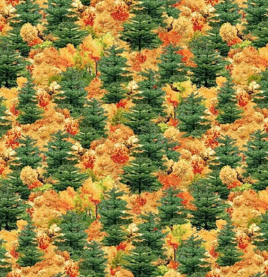 Covered Bridges - Scenic Trees Fall